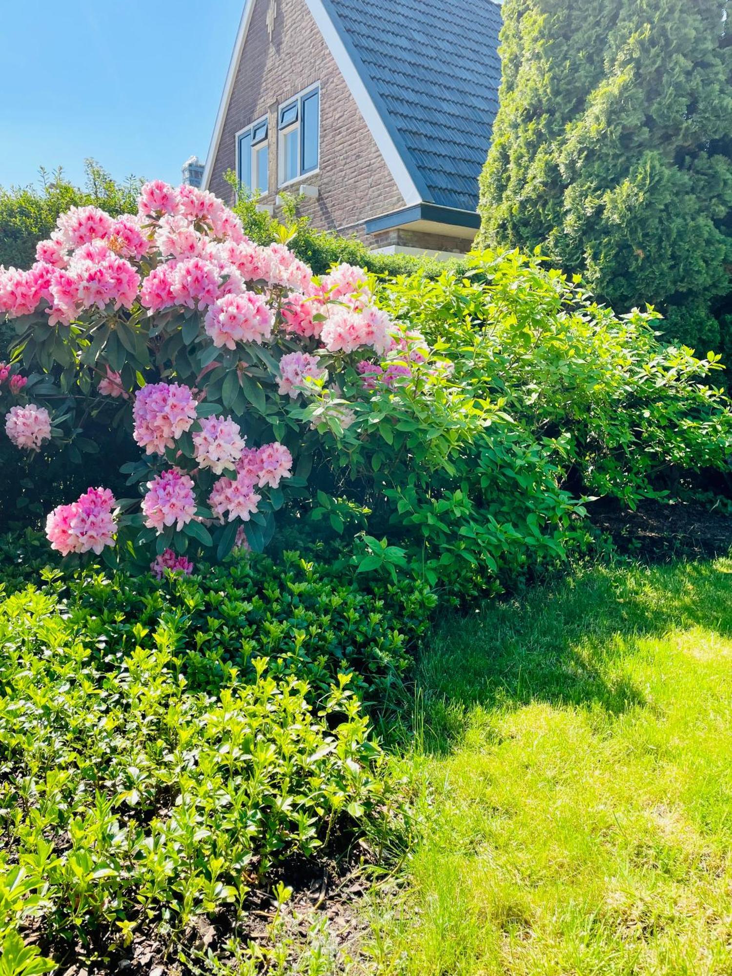 Bed & Breakfast Het Rechthuis Rinsumageest